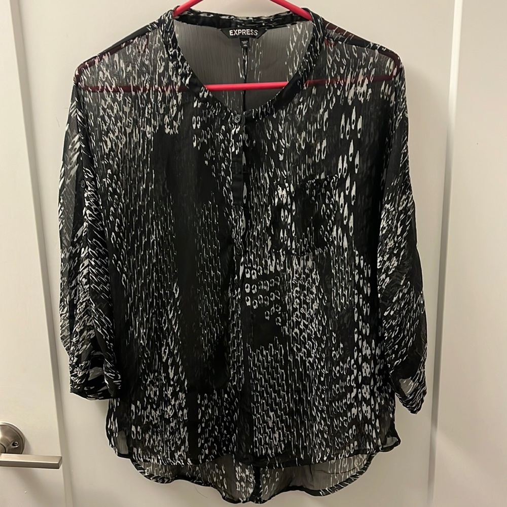 express Sheer Blouse